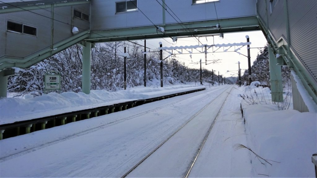 大張野駅 サムネ