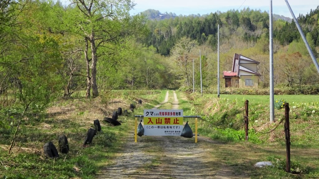 大清水 サムネイル