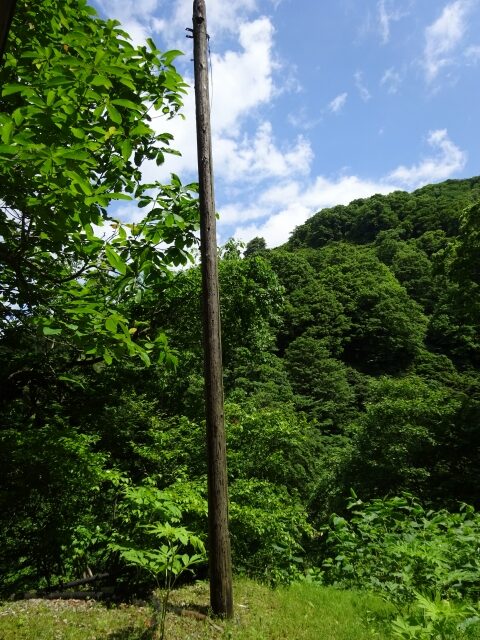 木の電柱