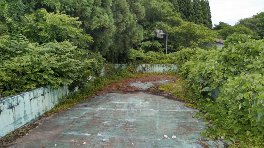 河辺神内ネイチャープール サムネ