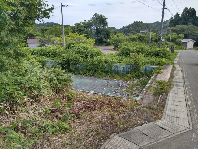 河辺神内ネイチャープール 前景