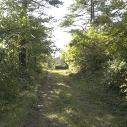 稲川児童公園 サムネイル