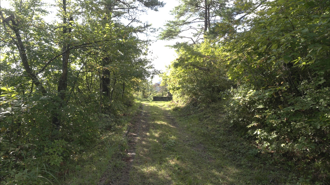 稲川児童公園 ～おたのしみワープゾーン～