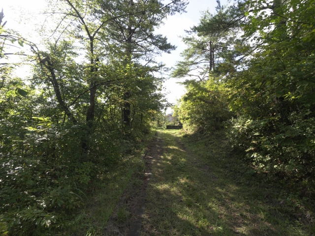 稲川児童公園 途中