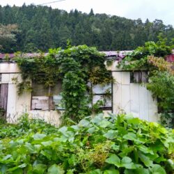 羽後飯沢診療所 サムネイル