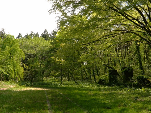 潟上市昭和緑地休養施設