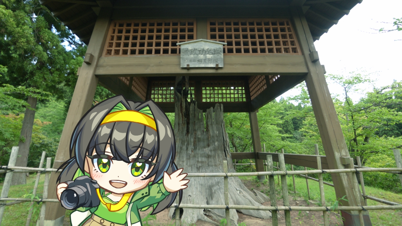 横手市にある金沢公園に行ってきました！
