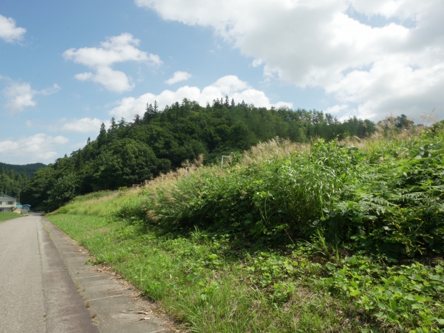 湯沢スキー場 全景